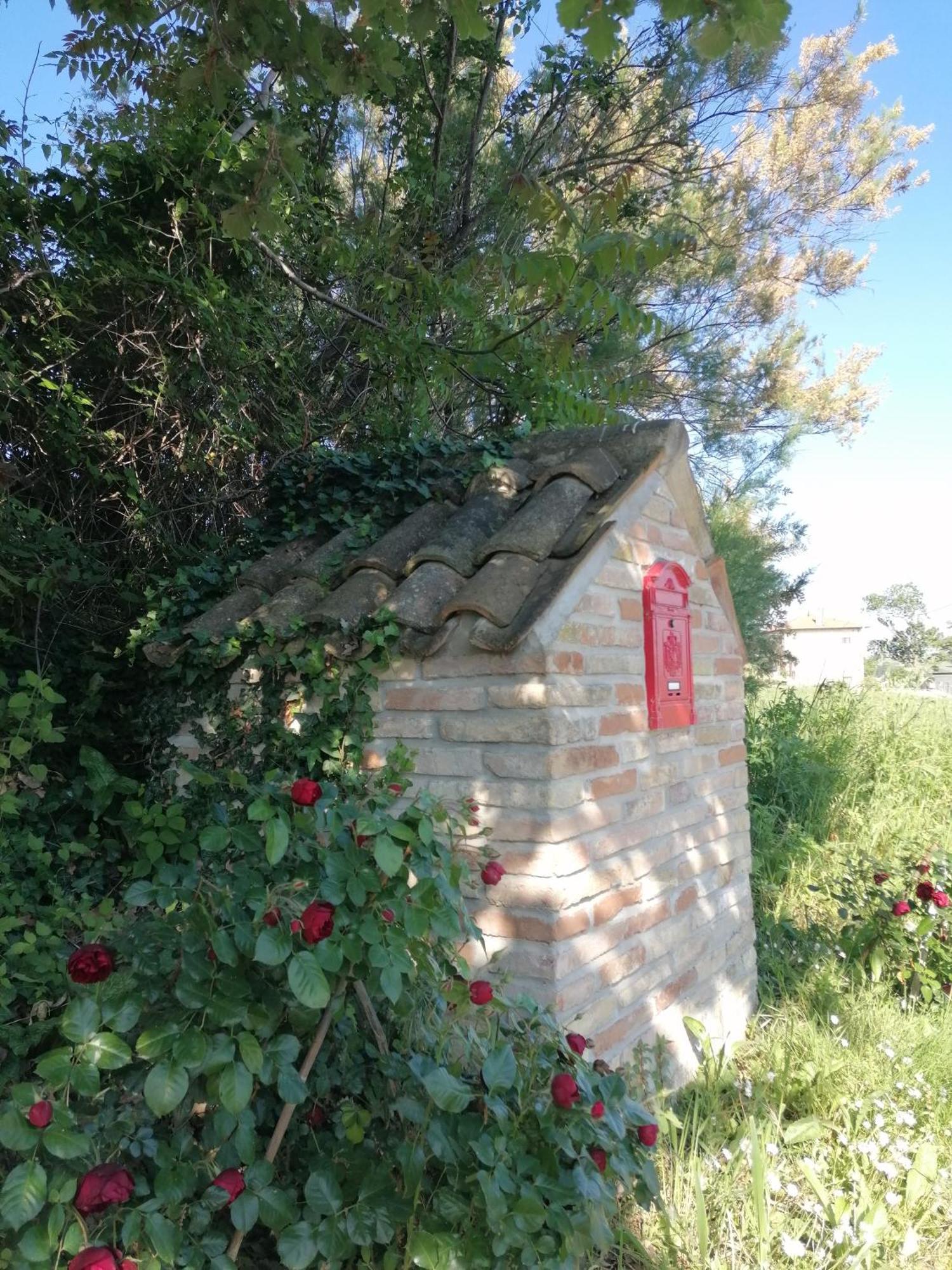 Il Giardino Nella Valle Belvedere Ostrense Exterior photo